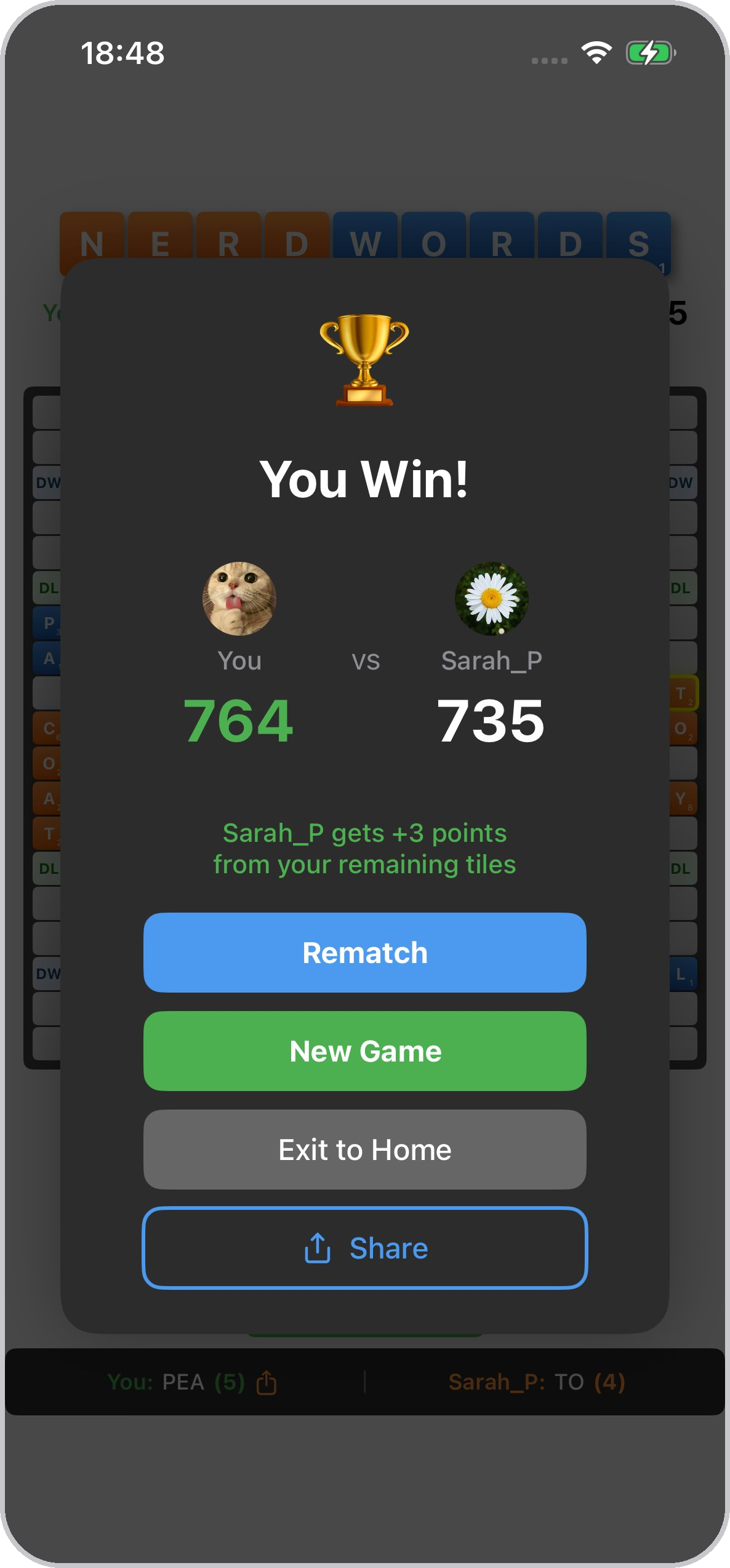 Nerd Words — game over you win